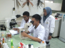 Vector Dengue